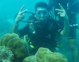 Scuba Diving at Havelock Island