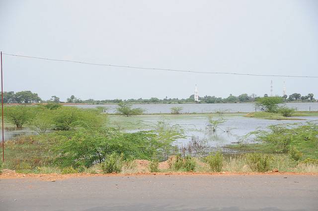 Ariyakulam Bird Sanctuary