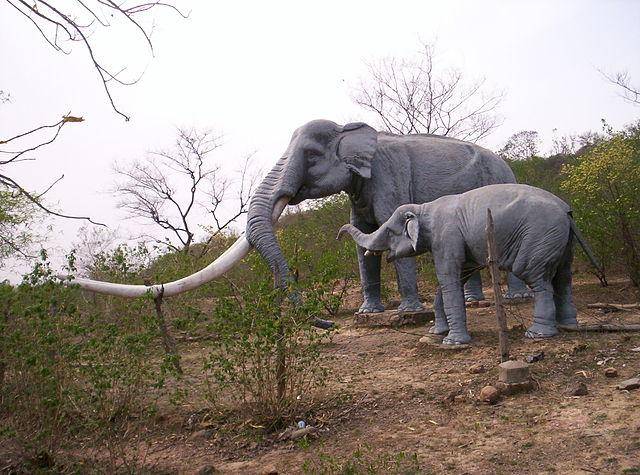 Shivalik Fossil Park