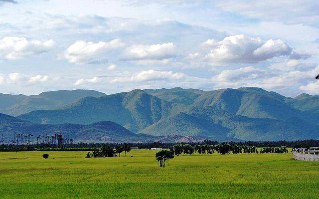 Pachamalai Hills