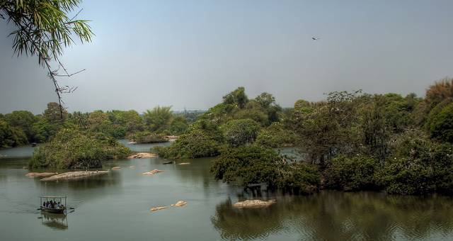 Ranganthittu Bird Sanctuary