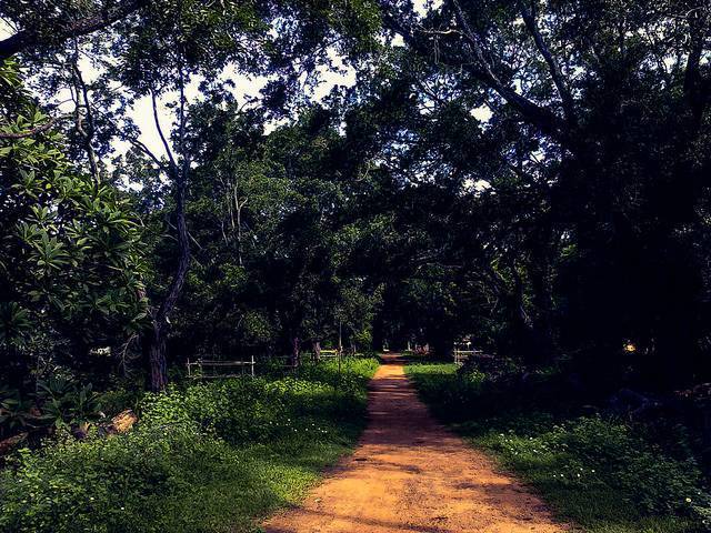 The Theosophical Society, Chennai